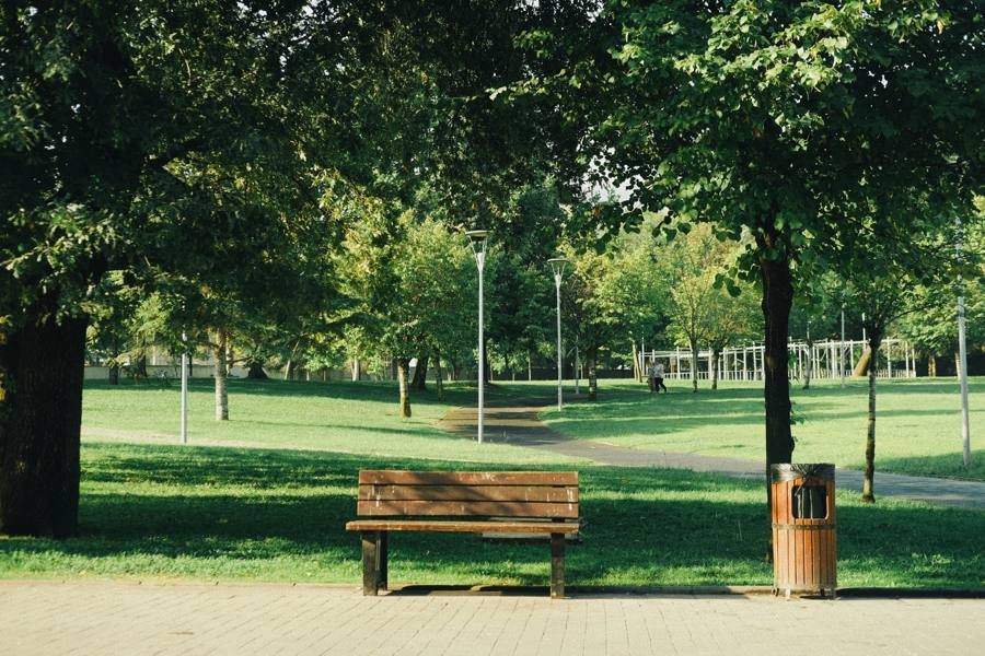Landscaped park with a bench under trees